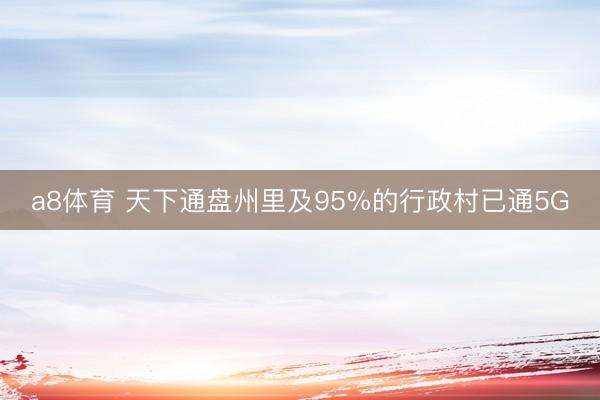a8体育 天下通盘州里及95%的行政村已通5G