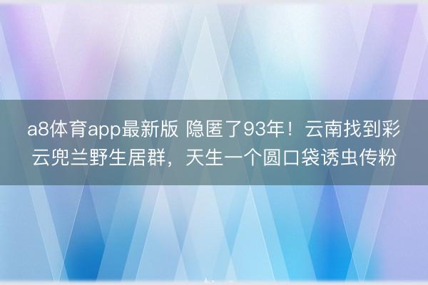 a8体育app最新版 隐匿了93年！云南找到彩云兜兰野生居群，天生一个圆口袋诱虫传粉