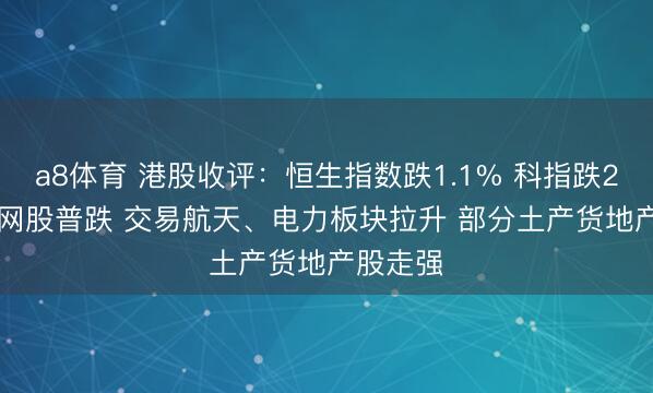 a8体育 港股收评：恒生指数跌1.1% 科指跌2.9% 科网股普跌 交易航天、电力板块拉升 部分土产货地产股走强