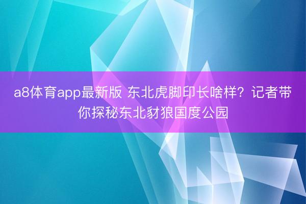 a8体育app最新版 东北虎脚印长啥样?记者带你探秘东北豺狼国度公园