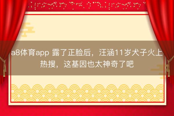 a8体育app 露了正脸后，汪涵11岁犬子火上热搜，这基因也太神奇了吧