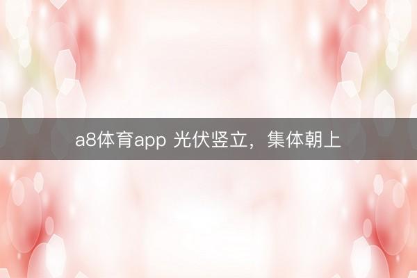 a8体育app 光伏竖立，集体朝上