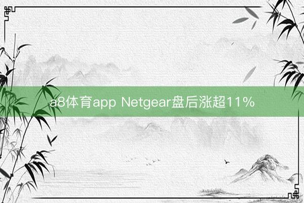 a8体育app Netgear盘后涨超11%
