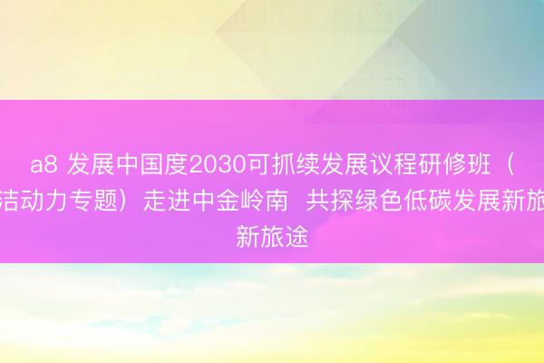 a8 发展中国度2030可抓续发展议程研修班（清洁动力专题）走进中金岭南  共探绿色低碳发展新旅途