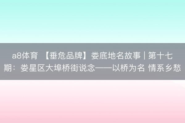 a8体育 【垂危品牌】娄底地名故事 | 第十七期：娄星区大埠桥街说念——以桥为名 情系乡愁