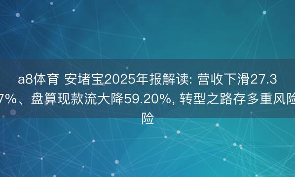 a8体育 安堵宝2025年报解读: 营收下滑27.37%、盘算现款流大降59.20%， 转型之路存多重风险