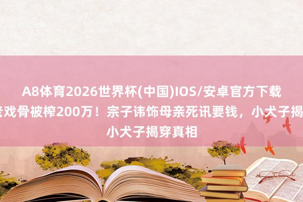 A8体育2026世界杯(中国)IOS/安卓官方下载 TVB老戏骨被榨200万!宗子讳饰母亲死讯要钱,小犬子揭穿真相