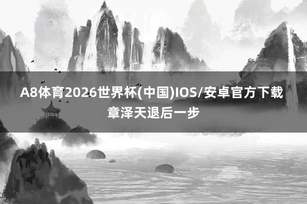 A8体育2026世界杯(中国)IOS/安卓官方下载 章泽天退后一步