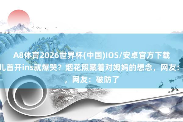 A8体育2026世界杯(中国)IOS/安卓官方下载 大S男儿首开ins就爆哭？烟花照藏着对姆妈的想念，网友：破防了