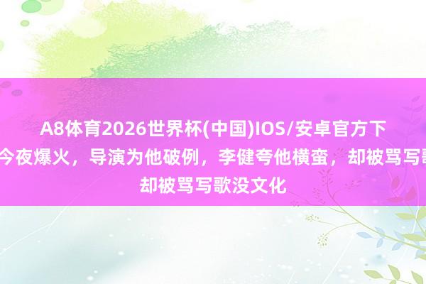 A8体育2026世界杯(中国)IOS/安卓官方下载 21岁今夜爆火，导演为他破例，李健夸他横蛮，却被骂写歌没文化