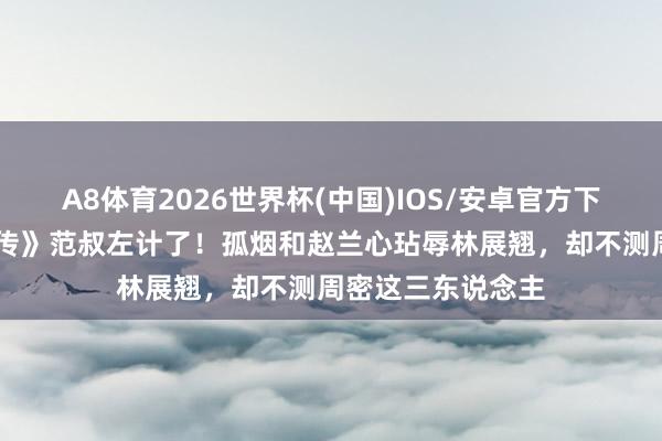 A8体育2026世界杯(中国)IOS/安卓官方下载 《爱情莫得外传》范叔左计了！孤烟和赵兰心玷辱林展翘，却不测周密这三东说念主