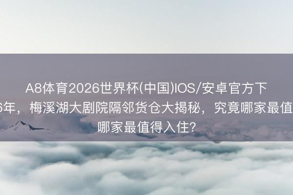 A8体育2026世界杯(中国)IOS/安卓官方下载 2026年，梅溪湖大剧院隔邻货仓大揭秘，究竟哪家最值得入住？