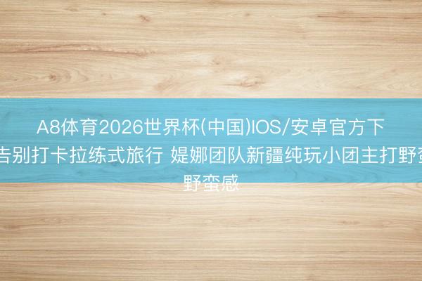 A8体育2026世界杯(中国)IOS/安卓官方下载 告别打卡拉练式旅行 媞娜团队新疆纯玩小团主打野蛮感