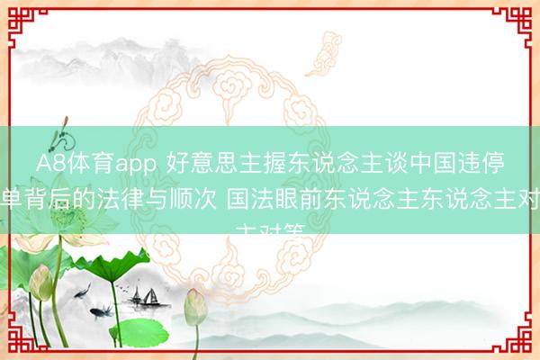 A8体育app 好意思主握东说念主谈中国违停罚单背后的法律与顺次 国法眼前东说念主东说念主对等