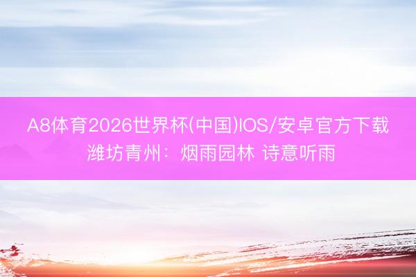 A8体育2026世界杯(中国)IOS/安卓官方下载 潍坊青州：烟雨园林 诗意听雨