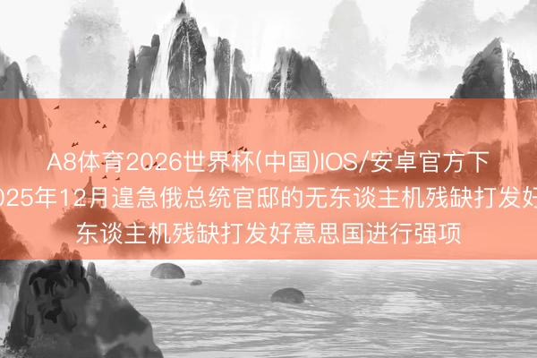A8体育2026世界杯(中国)IOS/安卓官方下载 普京：已将2025年12月遑急俄总统官邸的无东谈主机残缺打发好意思国进行强项