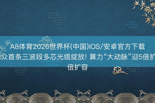 A8体育2026世界杯(中国)IOS/安卓官方下载 大众首条三波段多芯光缆绽放! 算力“大动脉”迎5倍扩容