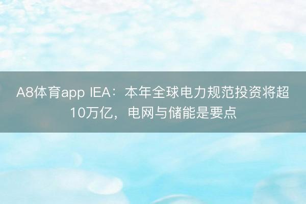 A8体育app IEA：本年全球电力规范投资将超10万亿，电网与储能是要点
