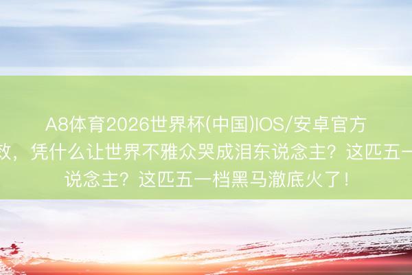 A8体育2026世界杯(中国)IOS/安卓官方下载 零明星零殊效，凭什么让世界不雅众哭成泪东说念主？这匹五一档黑马澈底火了！