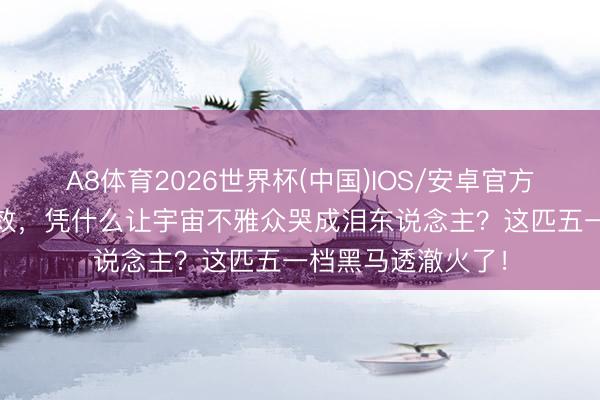 A8体育2026世界杯(中国)IOS/安卓官方下载 零明星零殊效，凭什么让宇宙不雅众哭成泪东说念主？这匹五一档黑马透澈火了！