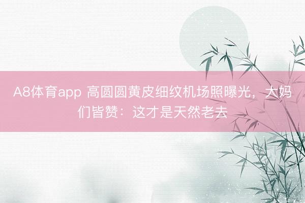 A8体育app 高圆圆黄皮细纹机场照曝光，大妈们皆赞：这才是天然老去